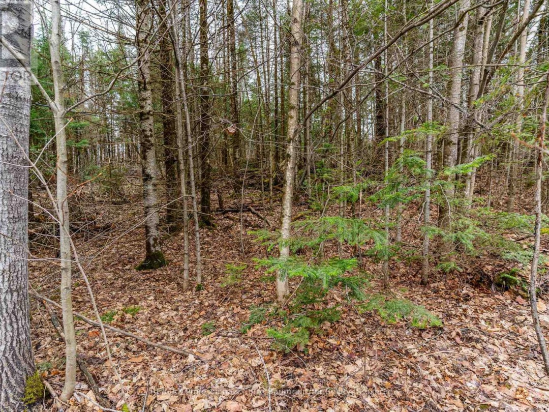 0 Glamorgan Road, Gooderham Lake