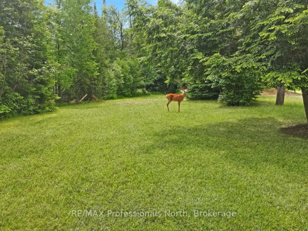 11601 HIGHWAY 118 HIGHWAY, Gull River
