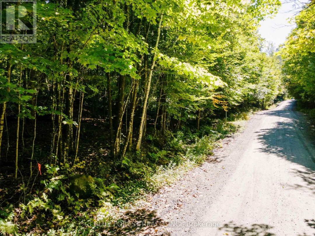 Lot 69 25Th Line, Maple Lake