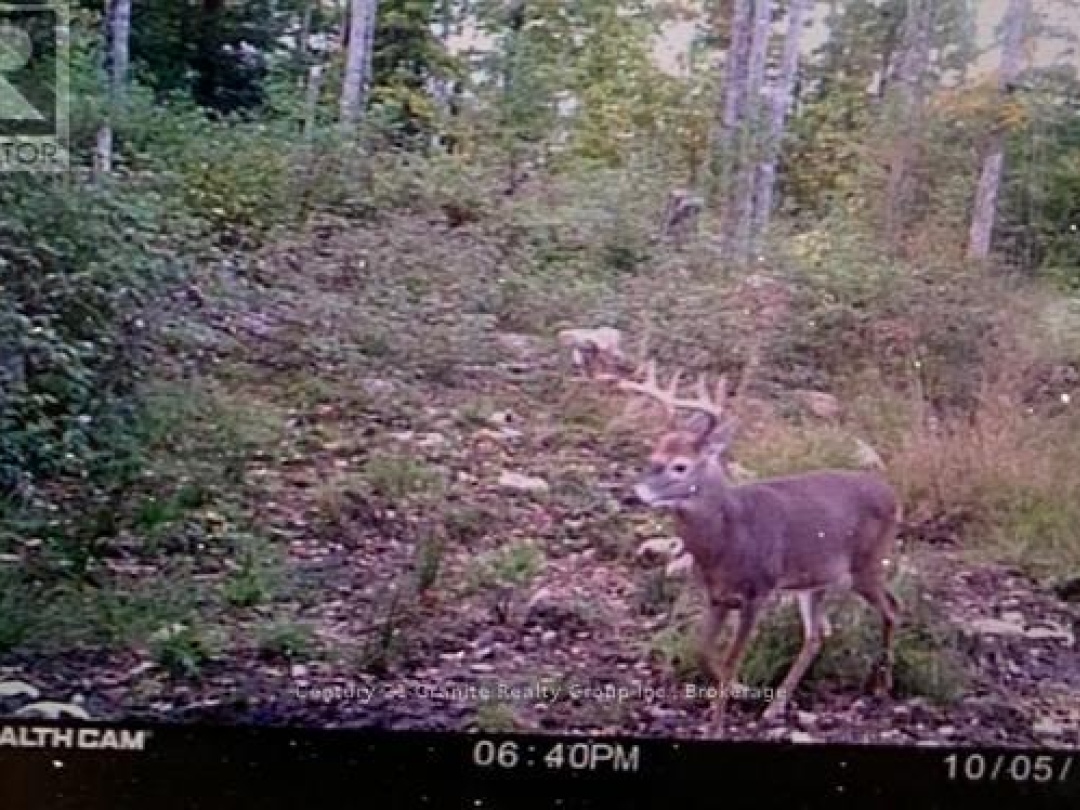 0 HALIBURTON LAKE ROAD, 