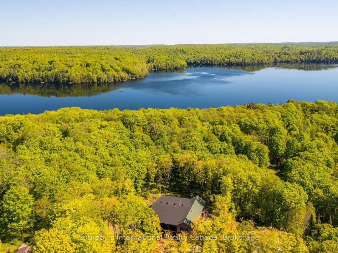 1739 TRAPPER'S TRAIL ROAD, Miskwabi Lake