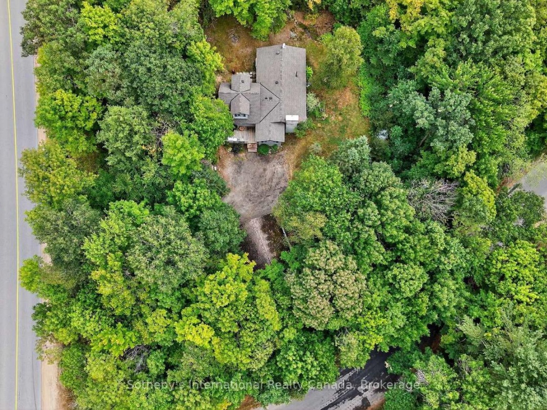 1132 LIMBERLOST ROAD, 