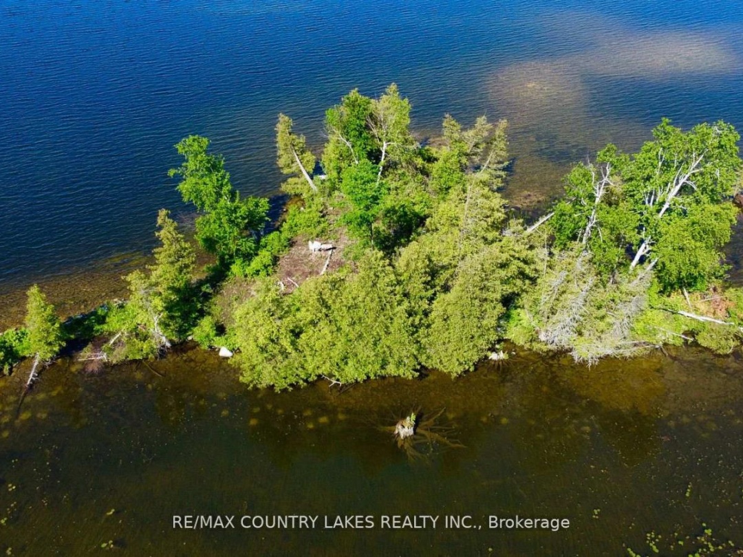 Lt 1 Island, Canal Lake