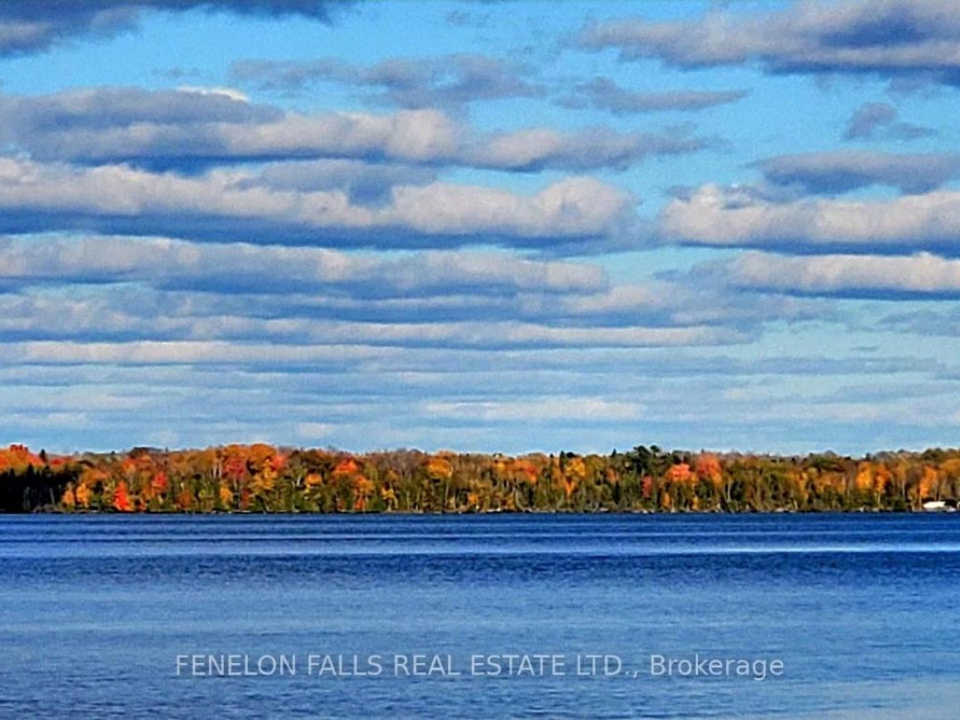 168 LAKEBREEZE ROAD, Cameron Lake