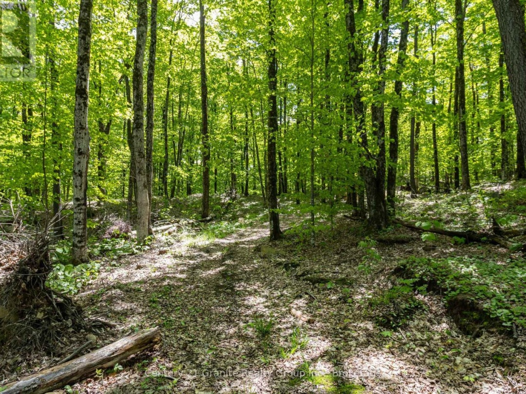 1145 Mink Road, Long Lake