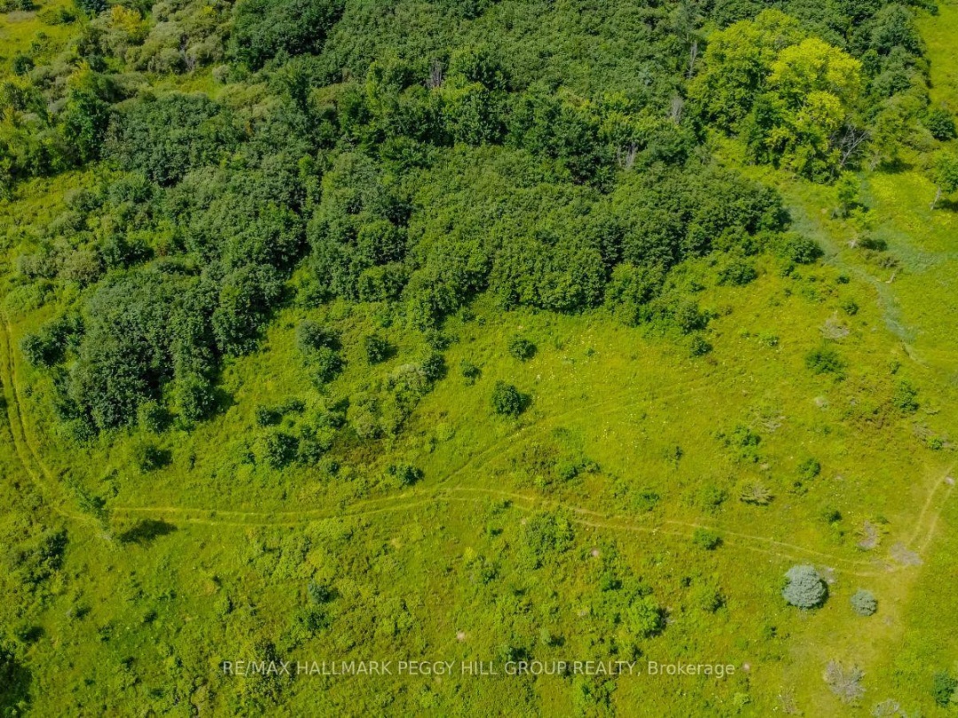 LOT 5 CONCESSION 5, 