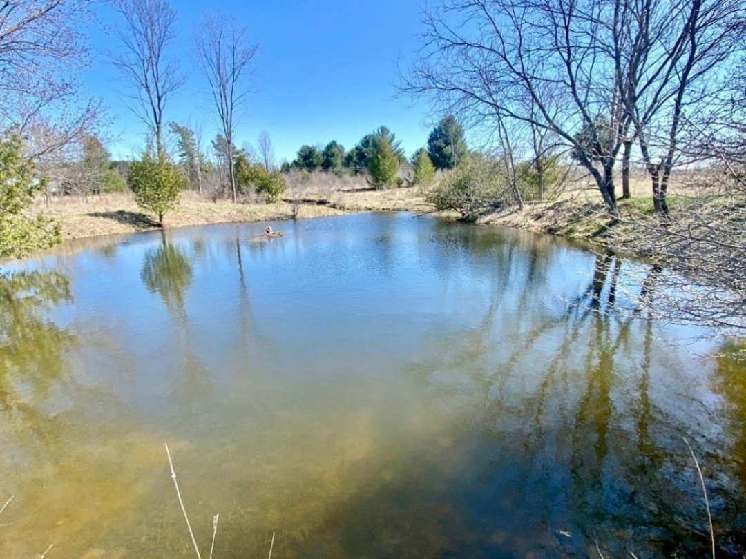 1860 B THORAH CONCESSION 11, 