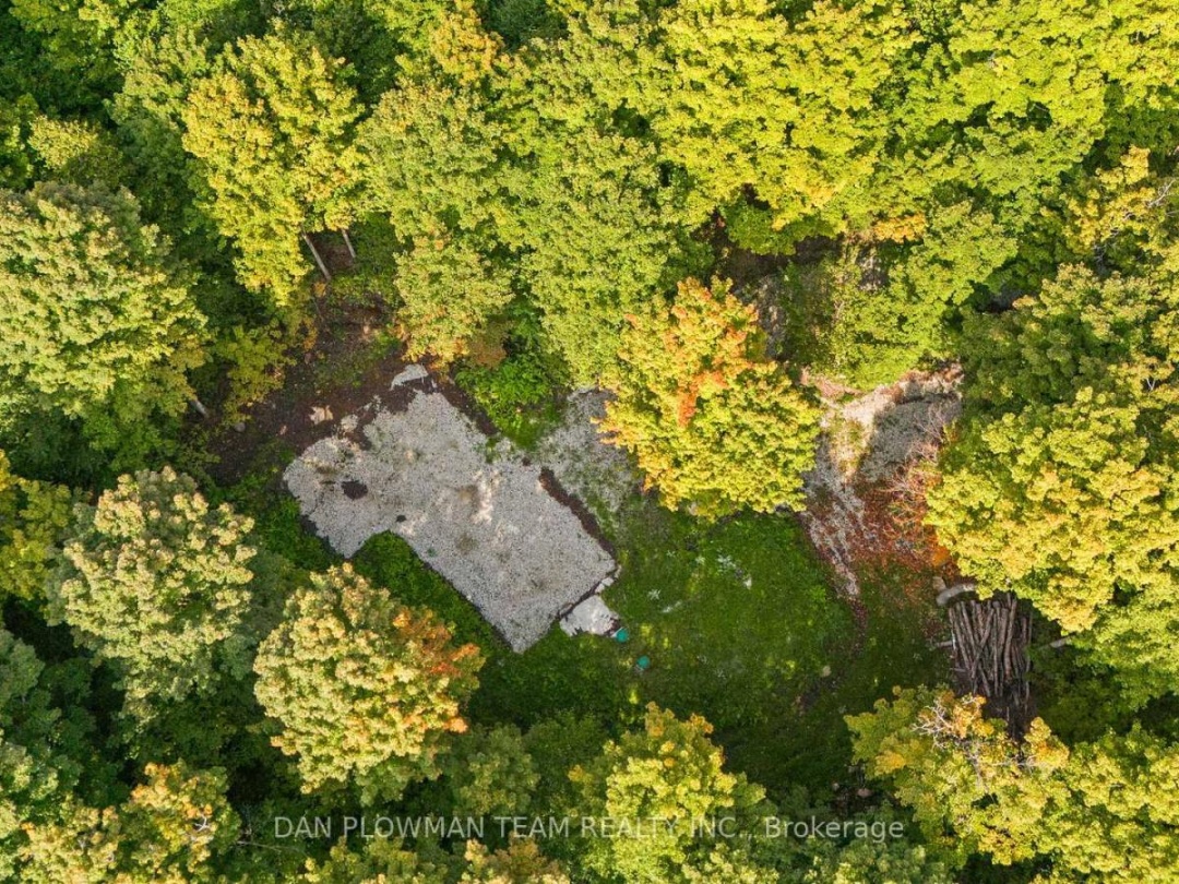 1409 BASSHAUNT LAKE ROAD, 