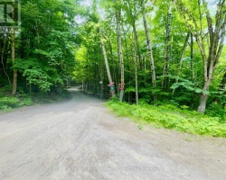 Property for Sale on Ptlt 14 Silverwood Road, Minden Hills (Snowdon)