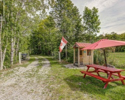 Property for Sale on 4411 UPPER BIG CHUTE ROAD, 