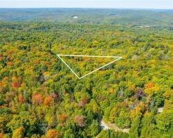 Property for Sale on Lot 49 Basshaunt Lake Road, Dysart et al (Guilford)
