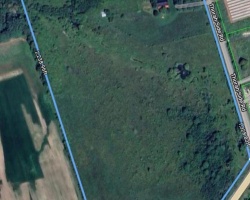 Property for Sale on 1860 B Thorah Concession 11, Brock (Beaverton)
