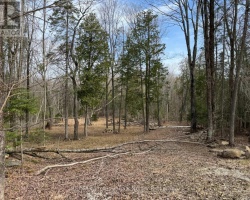 Property for Sale on Tbd North Drive, Dysart et al (Guilford)