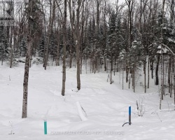 Property for Sale on LOT 23 GLEN EAGLE COURT, Huntsville (Chaffey)