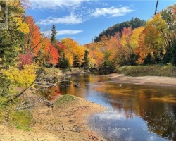 Cottage for Sale on Big East River