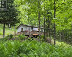 Cottage for Sale on Little Dudmon Lake