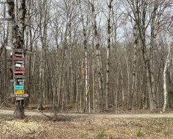 Property for Sale on LOT SILVERWOOD ROAD, 