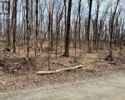 Property for Sale on Salerno Lake Road, Highlands East (Glamorgan)