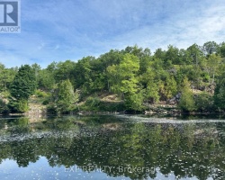 Cottage for Sale on Trent Severn