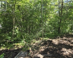 Property for Sale on 0 Highway Highway E, Highlands East (Glamorgan)