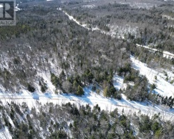 Property for Sale on 0 Indian Point Road, Dysart et al (Dudley)