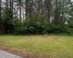 Property for Sale on 124 FREDERICK STREET, 