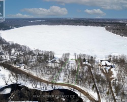 Cottage for Sale on Young Lake