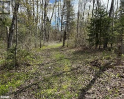 Property for Sale on 829 Prospect Street, Woodville