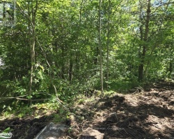 Property for Sale on 0 Hwy 503, Highlands East (Glamorgan)