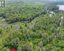 Cottage for Sale on Buck Lake