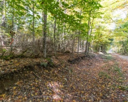 Property for Sale on 0 LYNX LAKE ROAD, 