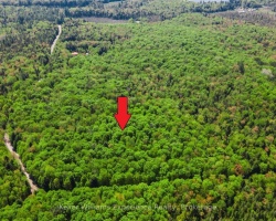 Property for Sale on 0 Healey Lake Road, Bracebridge (Macaulay)
