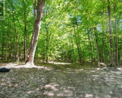 Property for Sale on 1059 NIMIGON LANE, 