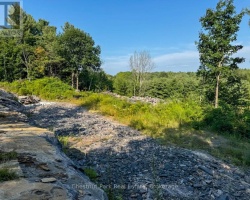 Property for Sale on 1681 Muskoka Beach Road, Bracebridge (Muskoka (N))