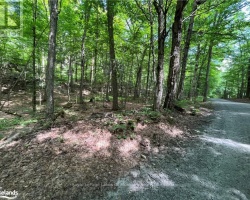 Cottage for Sale on Lake Vernon