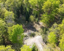 Property for Sale on 1019 Bushwolf Lake Road, Dysart et al (Guilford)