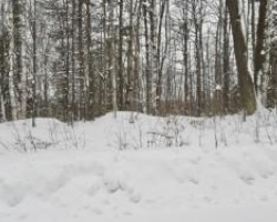 Property for Sale on 0 Fortescue Lake Road, Highlands East (Glamorgan)