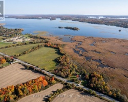 Cottage for Sale on Pigeon Lake