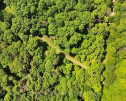 Property for Sale on Lot 166 Glen Lake Court, Dysart et al (Guilford)