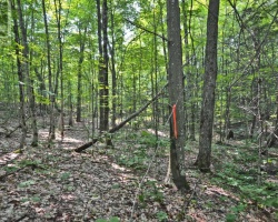Property for Sale on PART 2 - 0 LYNDSEY LANE, McKellar