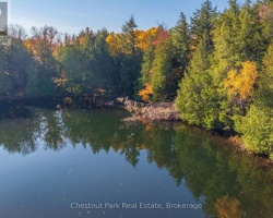 Property for Sale on 1031 CARL FISHER DRIVE, 