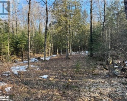 Property for Sale on 0 North Drive, Eagle Lake