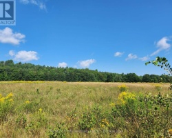 Property for Sale on 0 Deep Bay Road, Minden Hills (Lutterworth)