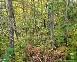 Property for Sale on 32 4 Fox Run Lane, Huntsville (Chaffey)