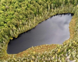 Property for Sale on 372 MCDOUGALL ROAD, 