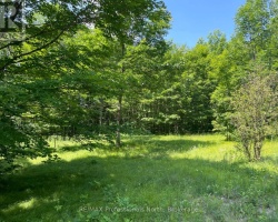 Property for Sale on 0 Glamor Lake Road, Highlands East