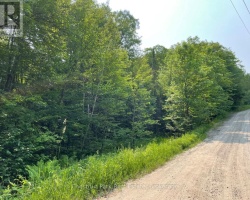 Property for Sale on 0 COLEMAN LAKE ROAD, Dysart et al (Guilford)