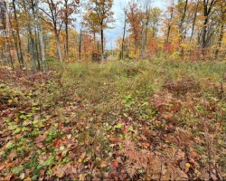 Property for Sale on 3700 NARROWS ROAD, 