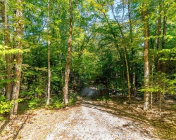 Property for Sale on LOT 40 BASSHAUNT LAKE ROAD, 