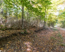 Property for Sale on 0 Lynx Lake Road, Huntsville